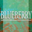 blueberry_ico.jpg