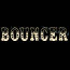 bouncer_ico.jpg